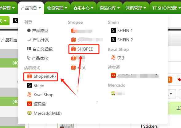 如何批量更新Shopee Entrega Direta的商品物流模式