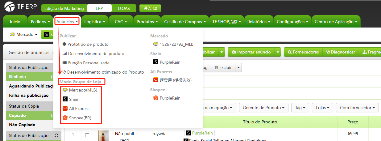 Modelo de Grupo de Lojas e Modelo de Loja Única