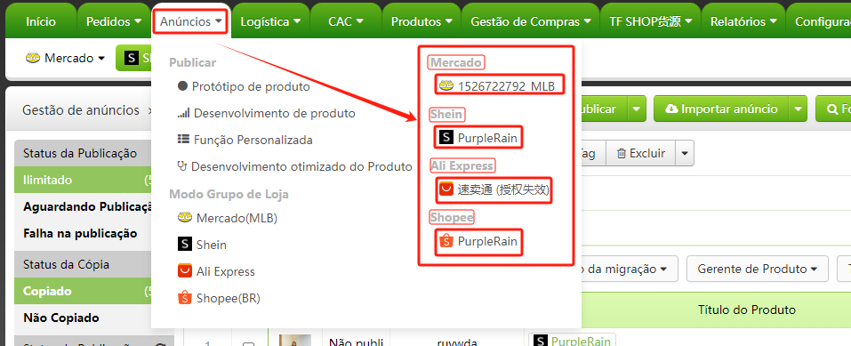 Modelo de Grupo de Lojas e Modelo de Loja Única