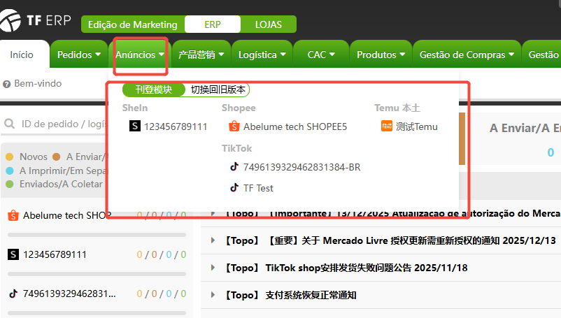 Como entrar no novo modo de grupo de lojas do TFERP?